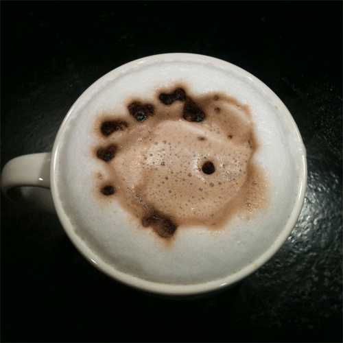 gif of a Latte changing over the course of a month