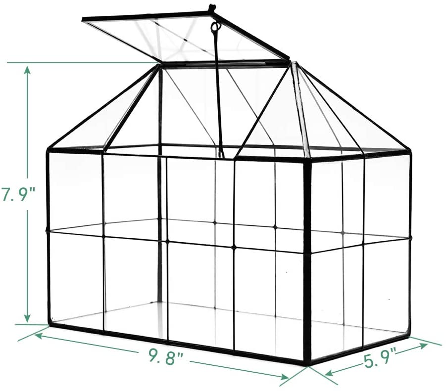 Desktop Greenhouse, or terrarium